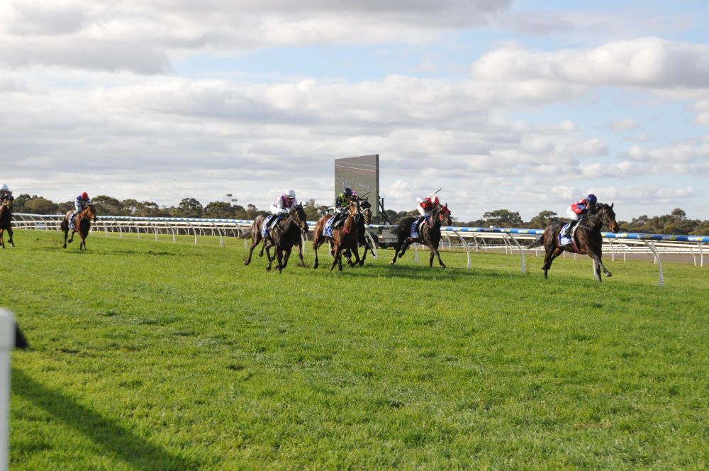 Action aplenty at Daish Irrigation and Fodder Family Race Day post image