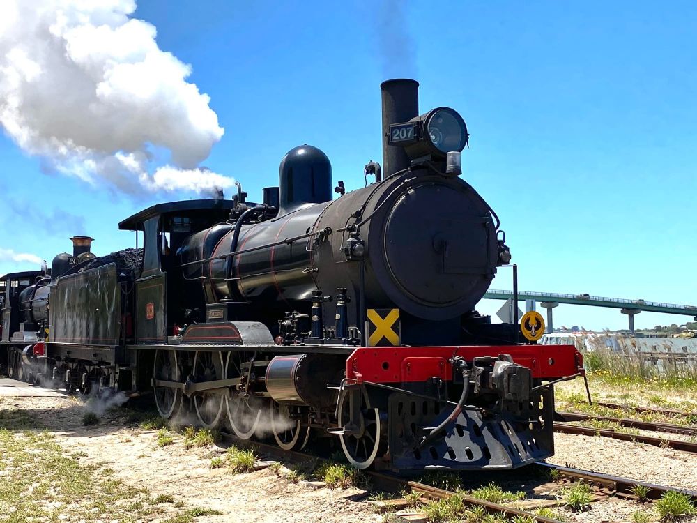 Full steam ahead for Cockle Train recovery post image