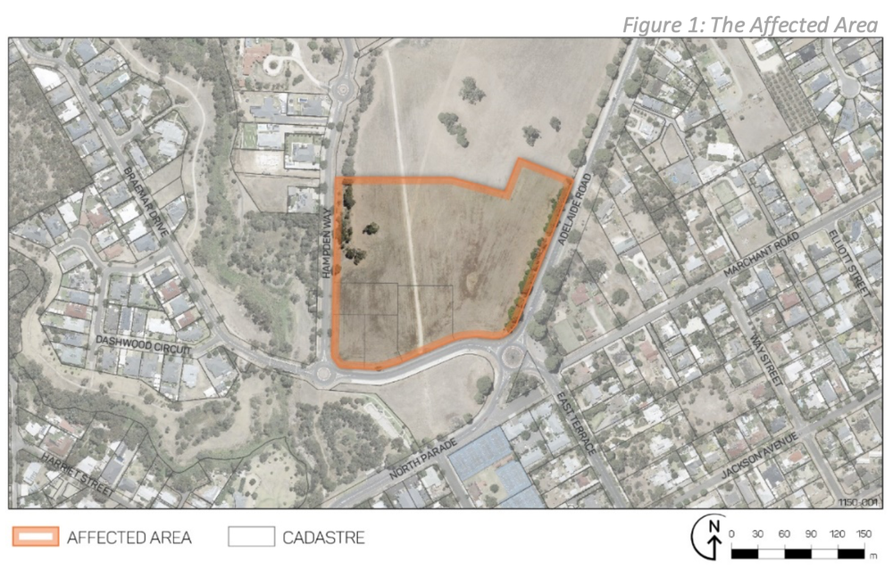 HAVE YOUR SAY ON HAMPDEN WAY: Feedback sought on rezoning proposal post image