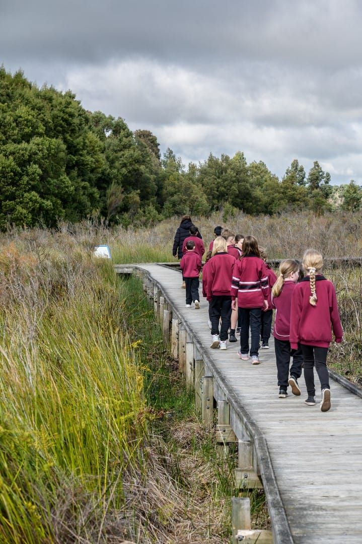 Swamping success post image