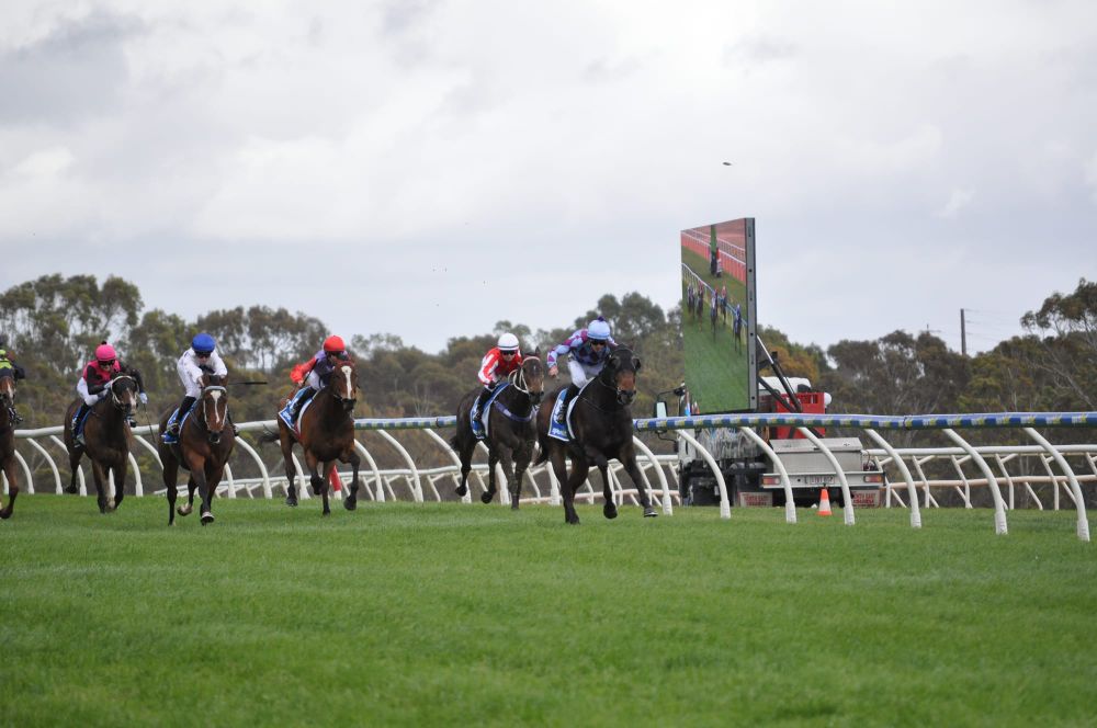 Vignerons Race Day delivers a treat post image