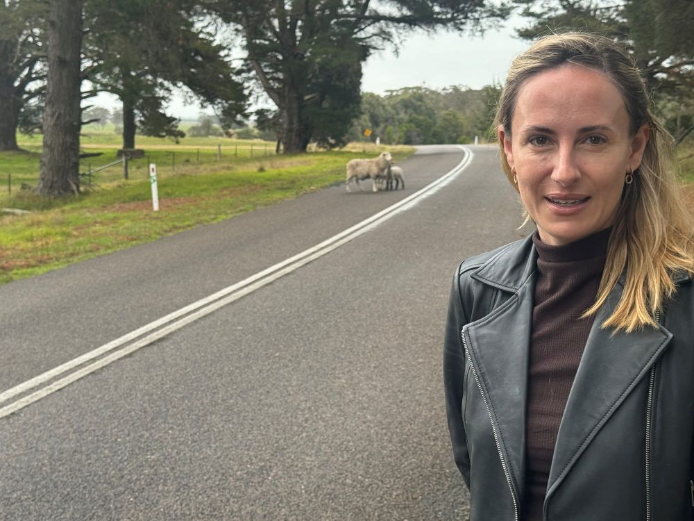 Virtual fencing no closer for SA farmers? post image
