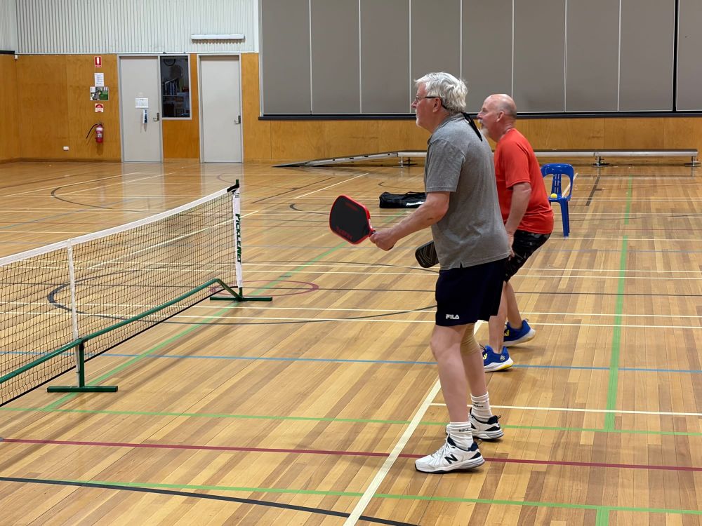 Welcome to pickleball in 2026 post image