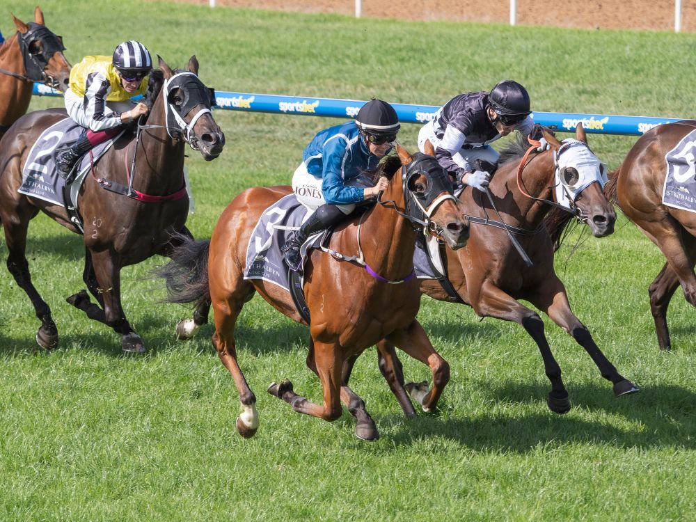 Perfect conditions on $5 Race Day post image