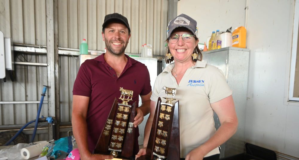 Jersey Club still milking it at 60 post image