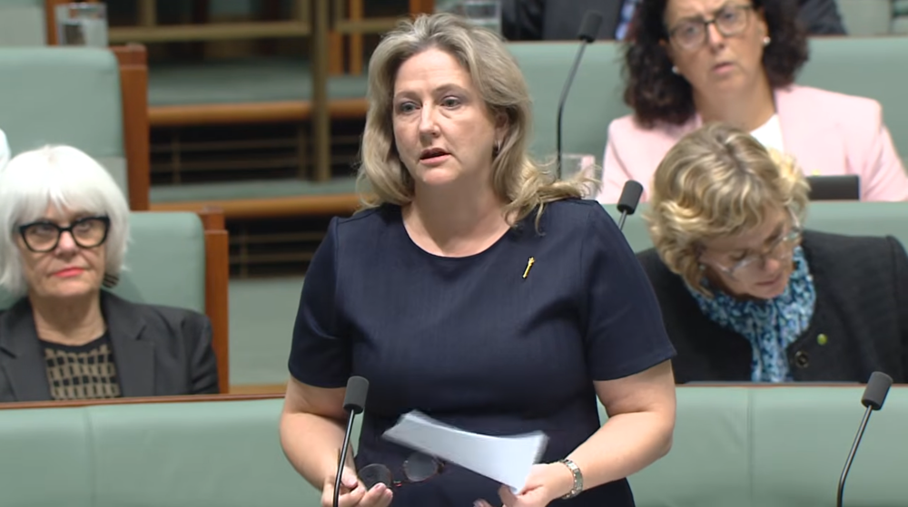 Local fuel security raised in parliament post image