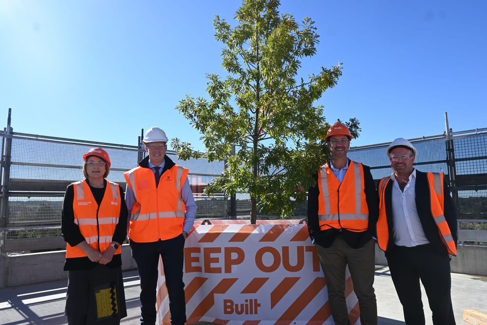 Hospital reaches new heights post image