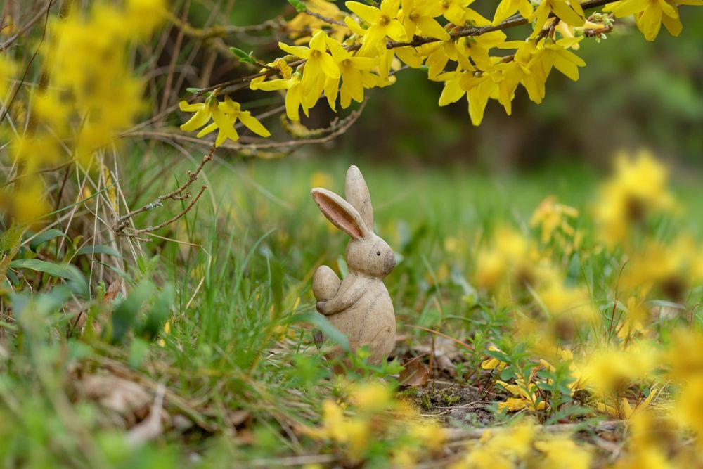 Local tourism encouraged this Easter post image