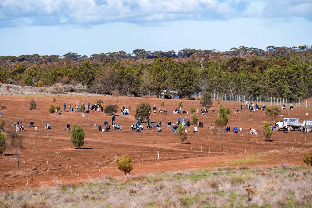 Volunteers ready to roll up their sleeves post image