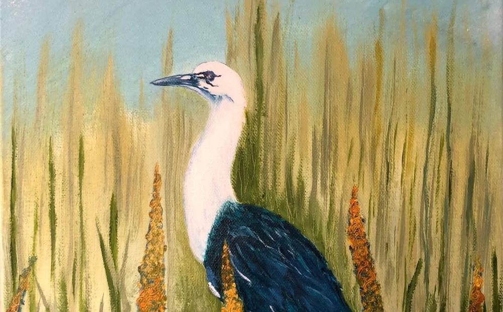 Celebration of local wildlife in new exhibit post image