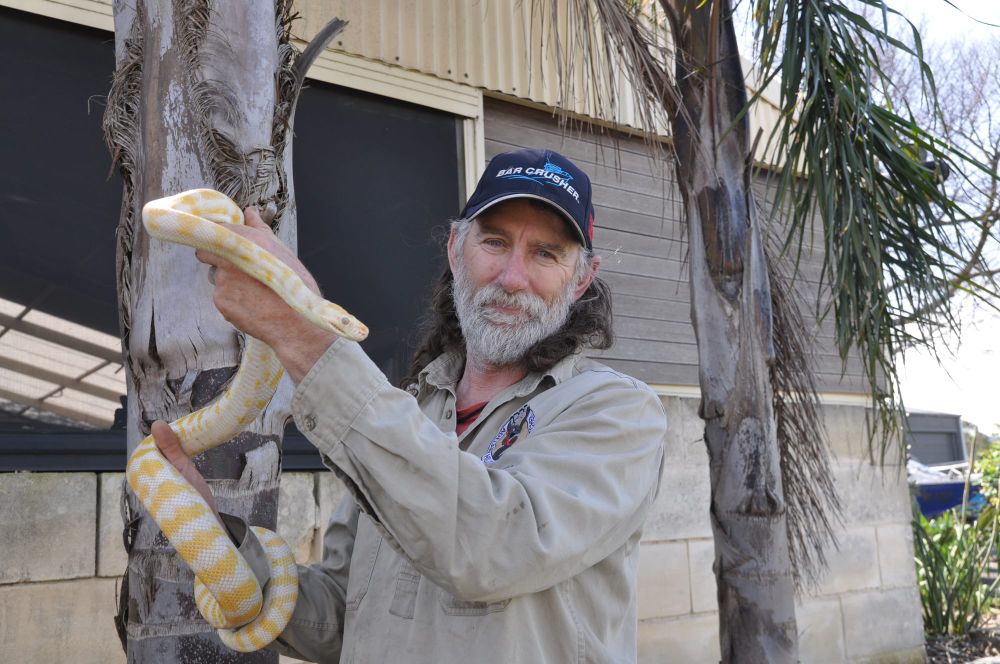 Welcoming the snake season as warmer weather arrives post image