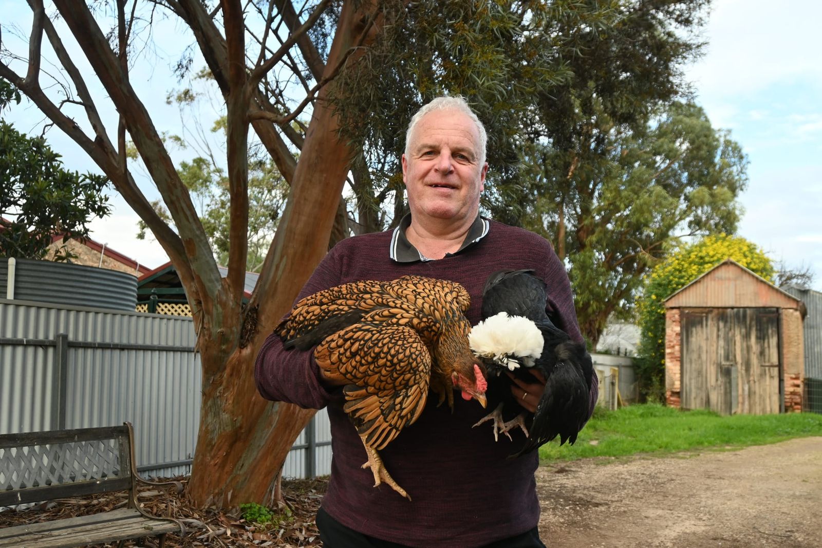 Poultry community on high alert post image