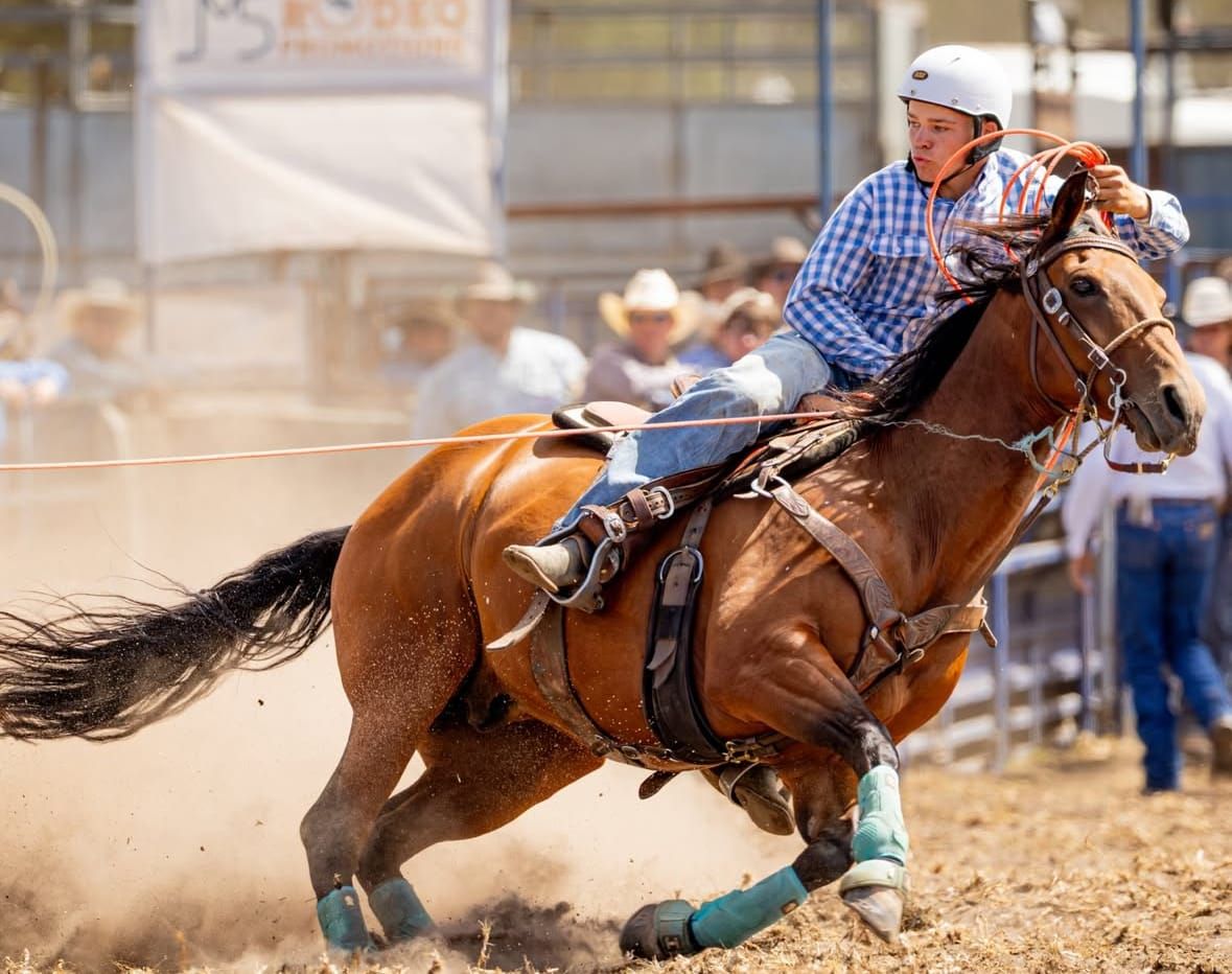Darcy sets his eye on national roping crowns post image