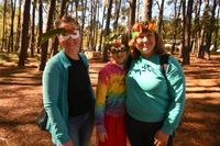 Forest Festival attracts thousands post image