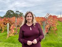 Calls for support for wine industry post image