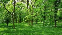 Mount Barker biodiversity offset scheme axed post image