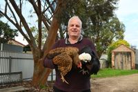 Poultry community on high alert post image