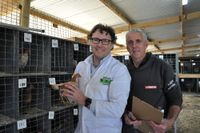 Bird flu cancels poultry section at local shows post image