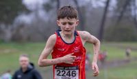Running to succeed post image