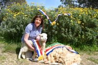 Leslie’s winning wool on show post image