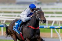 Potter lands top racing award post image