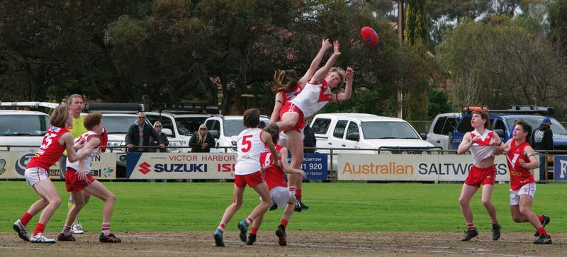 Roosters break the Demons’ deadlock post image