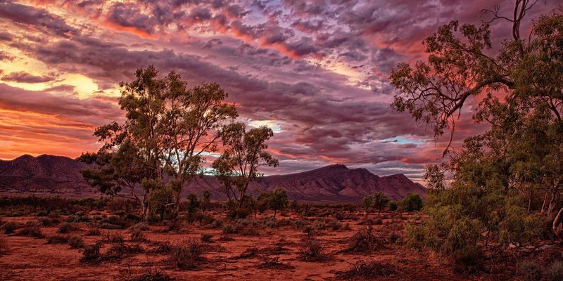 Eagle Challenge recently lands with South Coast Camera Club post image