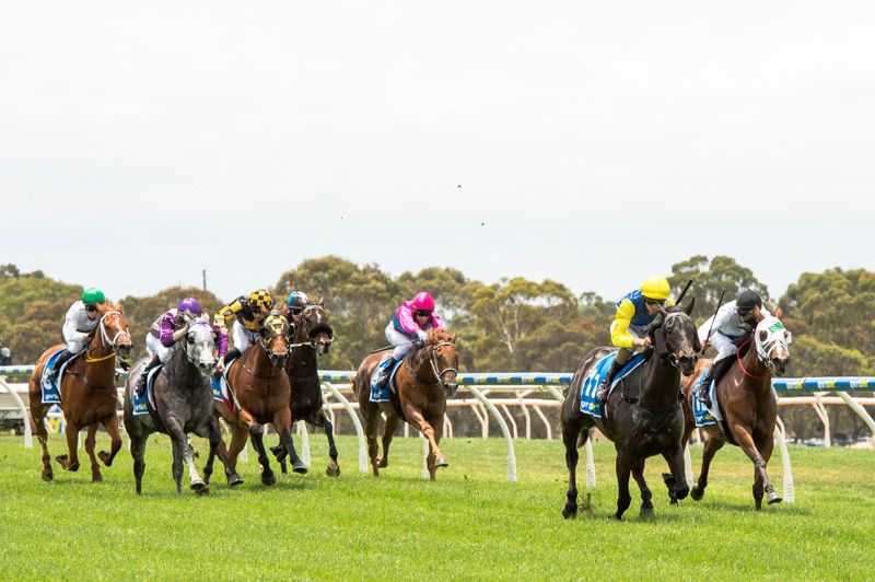 David Jolly wins solid silver Vignerons Cup post image