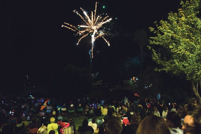 LIGHT UP THE NIGHT: Christmas spirit comes alive in Strathalbyn post image