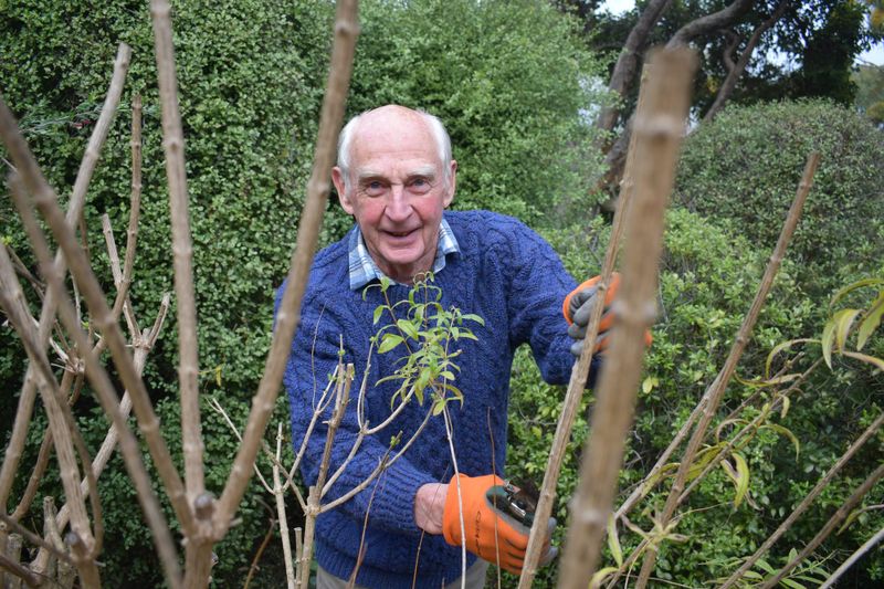BRANCHING OUT: New Strathalbyn Garden Club President ready to grow post image