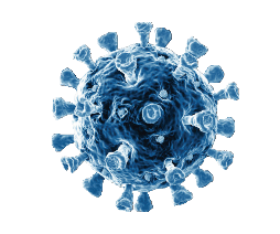 COVID COSTS: Alexandrina Council requests review into vaccine implications... post image