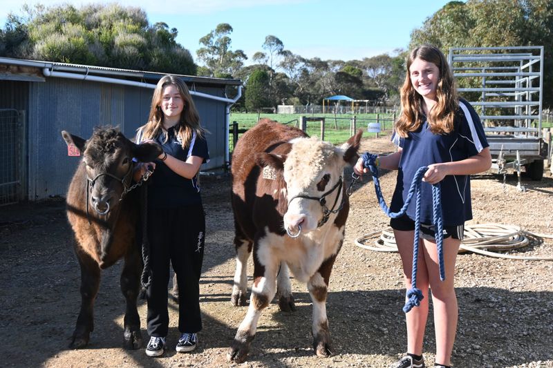 Eastern Fleurieu School students win big with a-moo-zing video post image