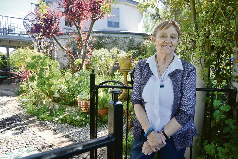 Local mosaic garden open to public post image