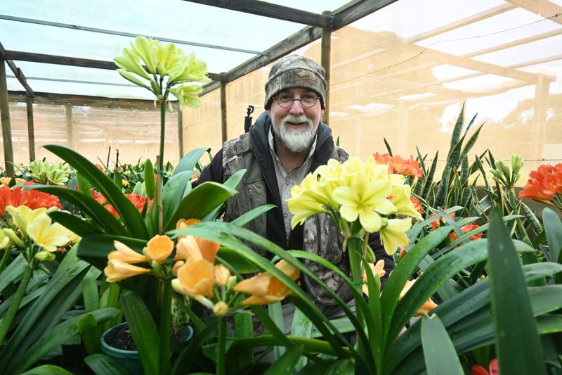 CLIVIA CLASS OF ’17: Bloomin’ beautiful Strathalbyn nursery post image
