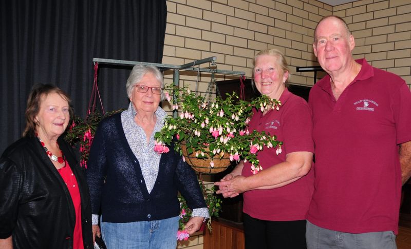 Fuschia Fiesta at garden club post image