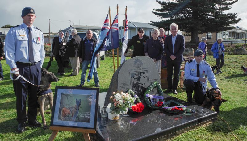 Locals paws in Goolwa for unsung service dog war heroes post image