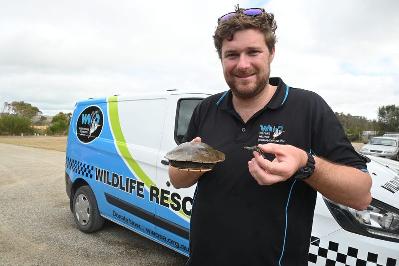 Driving up support for wildlife post image