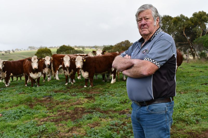 HIGH-STEAKS: Local farmers alarmed by Foot and Mouth Disease threat post image