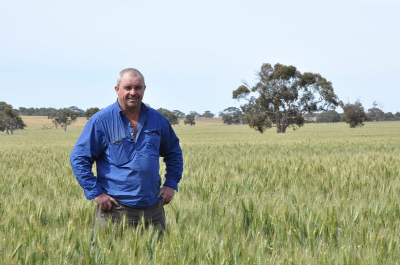 Safety plea as harvest begins post image