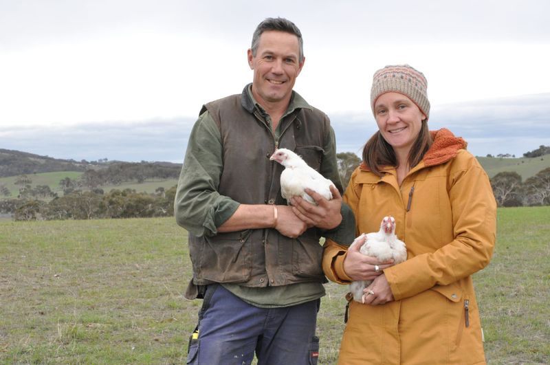 Nomad Farms in the ‘clucking’ for award post image