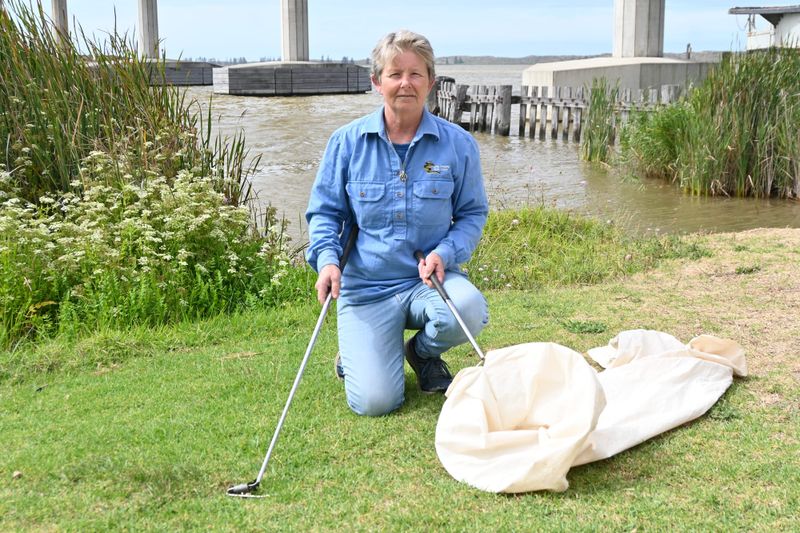 Increased snake sightings leave residents rattled post image