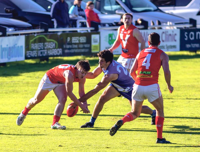 Not all plain sailing for the Roos against the Roosters post image