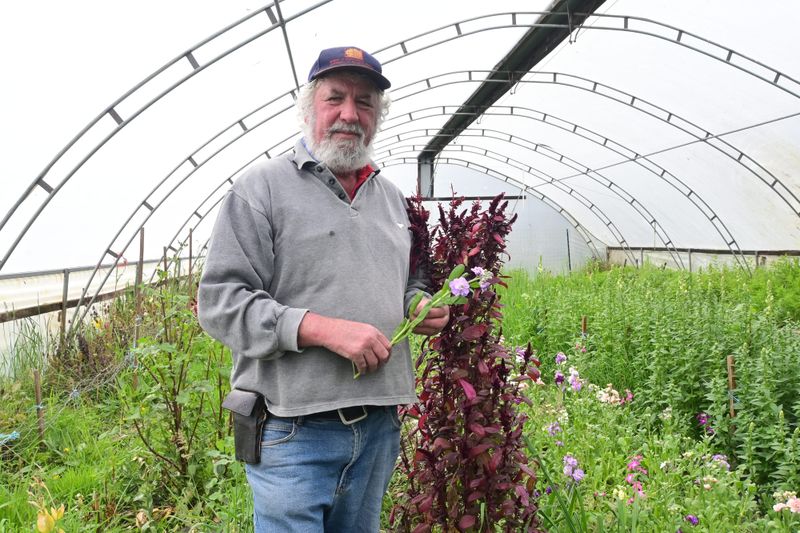 Cloudy winter weather affects local flower growth post image