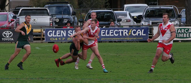 Mudlarks’ last fling just a point short of Demons post image