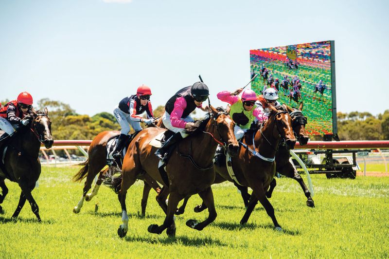 Race fall leads to new date for Strathalbyn Cup post image