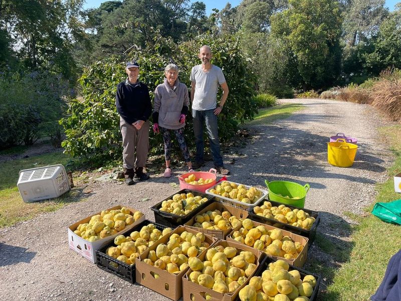 Fruit sharing initiative extends to local region post image