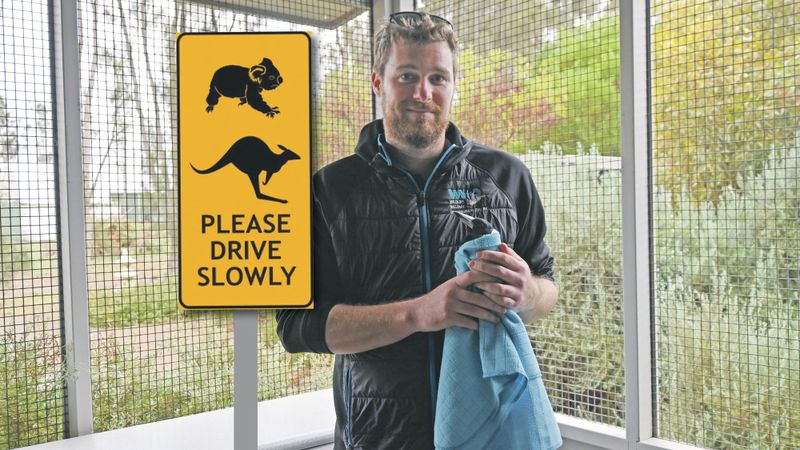Goolwa wildlife’s centre winter plea to local motorists post image