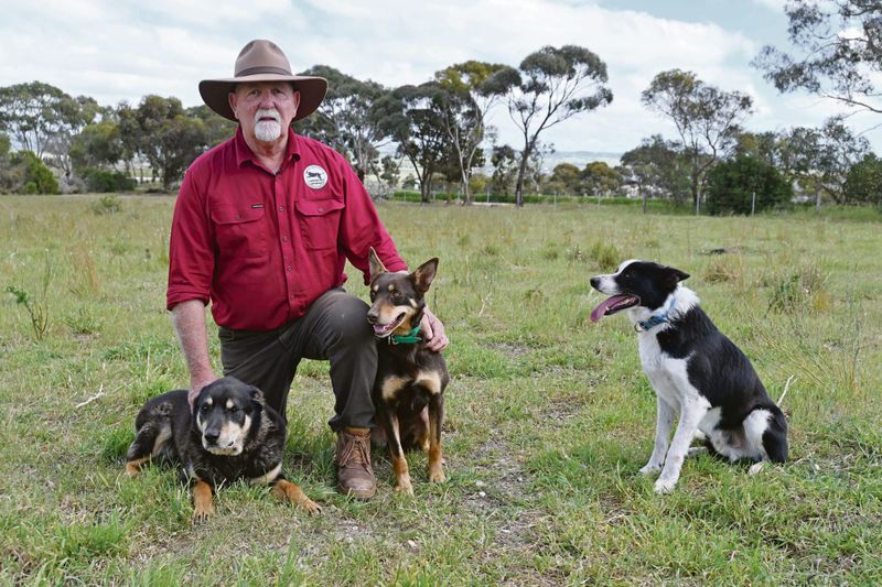 Farmers and their four-legged friends prepare for trial post image