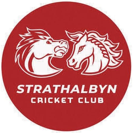 Strathalbyn Cricket Club launches new, ‘inclusive’ logo post image