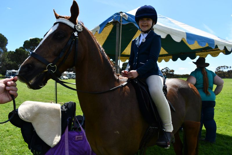 Horses-in-Action kicks off Strathalbyn Show weekend post image